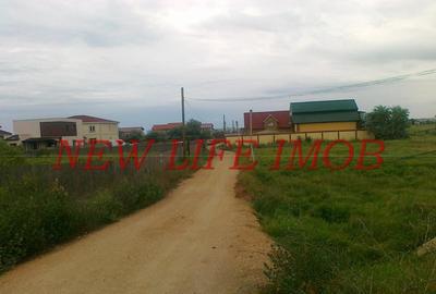 Mamaia sat , teren intravilan - 4