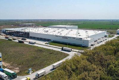 Spatiu de depozitare si productire Stefanestii de Jos - 1