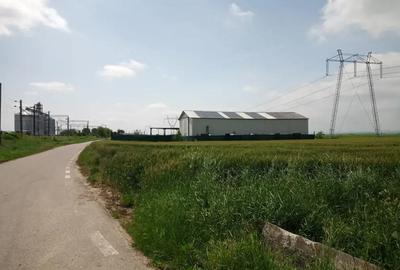 Spațiu comercial, de 500 mp, în Săbăoani - 1
