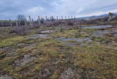 Teren de 15000 mp, în Cămărașu - 5