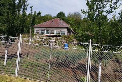 Casă în Dumbrava - 5