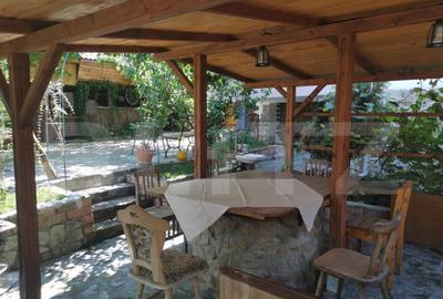 Casă cu 4 camere cu Teren 3753 Mp în Debarcader - 7