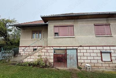 Casă cu 4 camere cu Teren 2300 Mp în Dângău Mare - 1