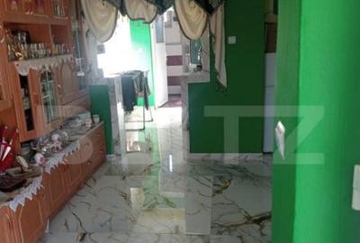 Casa spatioasa in Sanmihaiu de Campie - 11