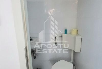 Casa individuala,independenta energetic, 5 camere,teren3783,Peciu Nou - 17