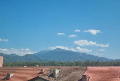 Apartament 2 camere nedecomandat 50 mp Etaj 4 ?arpanta la scara Priveli?te Mun?ii Parang - 2