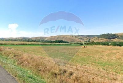 Teren Construcții intravilan de 9000 mp, în Gilău - 2