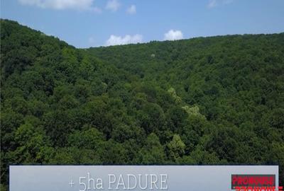 Valea Budului - Teren intravilan. Lac. Padure - 16