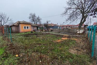 Teren casa -Ronat - 2