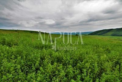 Teren extravilan pentru constructii de vanzare in Popesti - 2