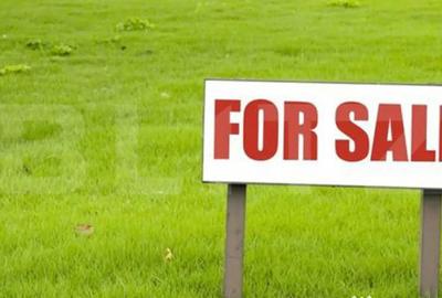 Teren de 2000 mp, în Central