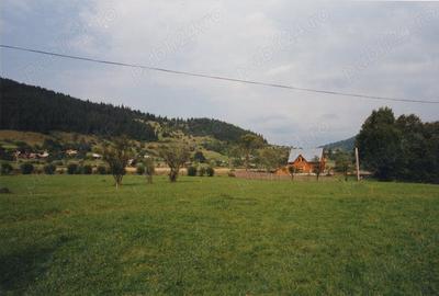 Teren de 7000 mp, în Lunca - 3