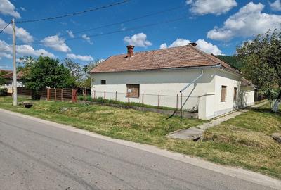 Casă cu Teren 2973 Mp în Șiria - 4