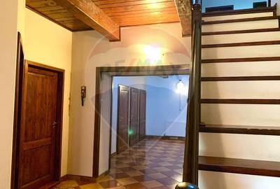 Pensiune cu 13 camere de vanzare in Bulz - 41