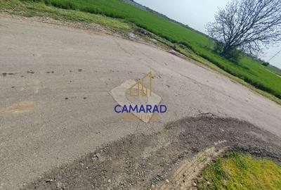 Teren Construcții intravilan de 13602 mp, în Dragomirești-Vale - 6