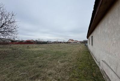 Teren Construcții intravilan de 3104 mp, în Becicherecu Mic - 3