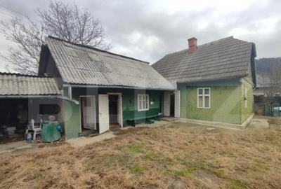 Casă cu 4 camere cu Teren 2500 Mp în Putna - 10