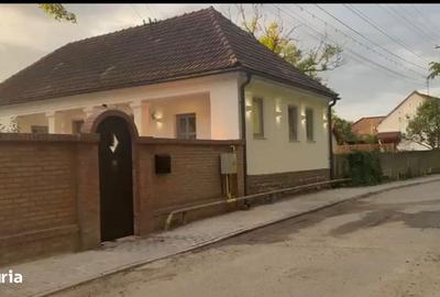 Casă cu 3 camere în Băcia - 16