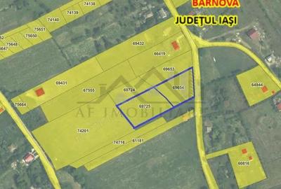 Teren de 4777 mp, în Bârnova - 3