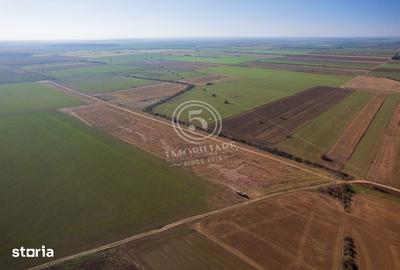 Teren de 1118 mp, în Snagov
