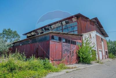 Spațiu industrial, de 12,000 mp, în Periferie - 5