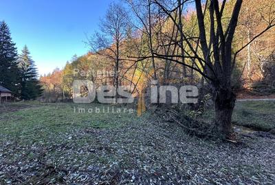 Teren Construcții extravilan de 2882 mp, în Podu Dâmboviței - 7