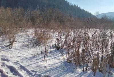 Teren Intravilan Sinaia 4034 mp - 5