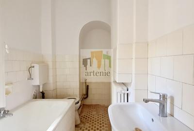 Pache Protopopescu- Plantelor parter in vila - 14