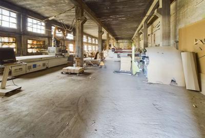 Fabrica prelucrare lemn de vanzare - Lipova, Arad Fabrica prelucrare lemn de vanzare - Lipova, Arad - 19