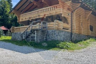 Cabana in inima muntilor,acces la partia de schi din Borsa,teren2200mp Cabana in inima muntilor,acces la partia de schi din Borsa,teren2200mp - 17