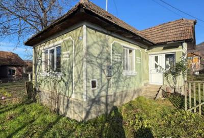 Casă cu 1 camere cu Teren 420 Mp în Tăuții de Sus - 9