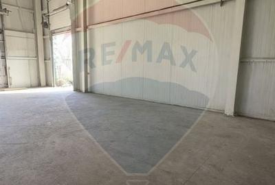 Hala industriala de vanzare in Poiana-Ovidiu - 4