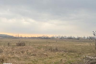 Spațiu comercial, în Viforâta - 10