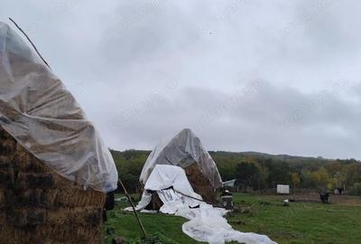 Spațiu comercial, de 240 mp, în Ștubeiu - 1