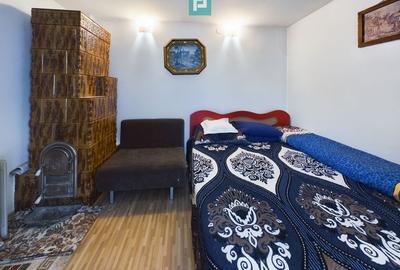 Casa modesta, 2500 mp teren, Domnesti - 5