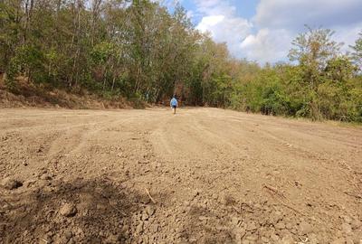 Spațiu comercial, în Viișoara - 6