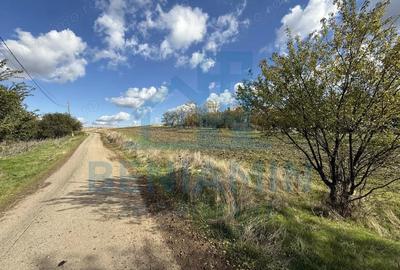 Teren de 1000 mp, în Mischii