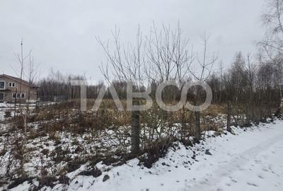 Teren agricol de 1934 mp, în Avrig - 4