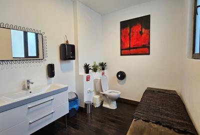 Vila de lux reprezentativa si cocheta stil neoromanesc Calea Victoriei Cismigiu - 14