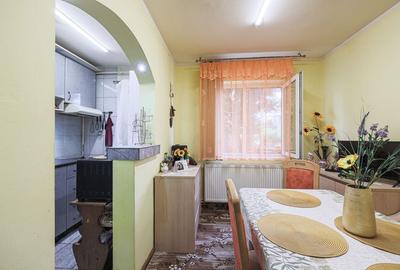 Apartament, la etajul 1, cu balcon spre zona verde, malul Muresului - 5