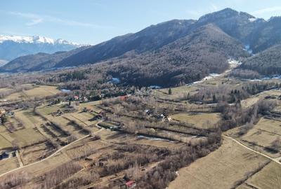 Teren Construcții intravilan de 4043 mp, în Predeluț - 15