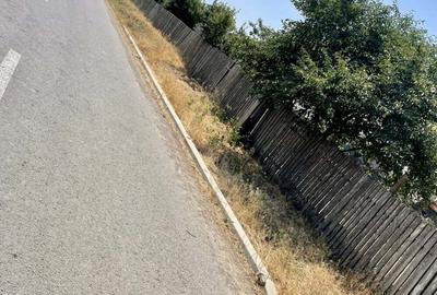 Casă cu 6 camere cu Teren 4614 Mp în Lăstuni - 8