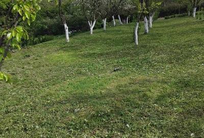 Casă individuală cu 2 camere în Țerova - 3