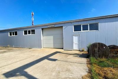 Spațiu comercial, de 550 mp, în Golești - 12