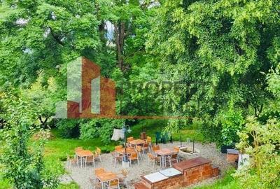 Vilă in Bran cu teren de 28.000 mp și priveliște spectaculoasa Vilă in Bran cu teren de 28.000 mp și priveliște spectaculoasa - 28