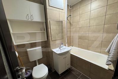 Garsoniera de inchiriat, AC, 30 mp, Brazda lui Novac - 5