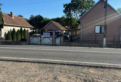 Casă cu 2 camere cu Teren 1439 Mp în Cadea - 5