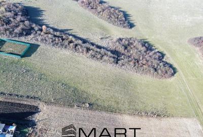 Teren extravilan 650mp Rusciori - 3