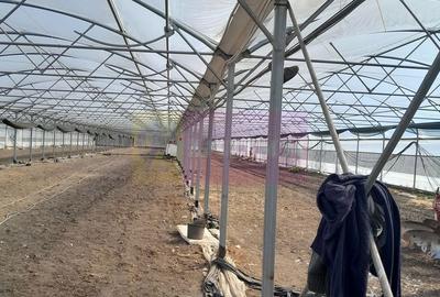 Spațiu comercial, în Roșiori - 8