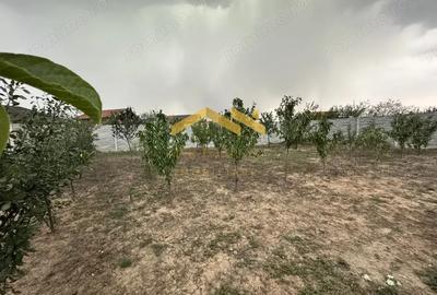 Casă cu 3 camere cu Canalizare în Remetea Mare - 8